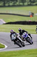 Middle Group Black Bikes